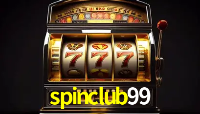 Interface Premium spinclub99